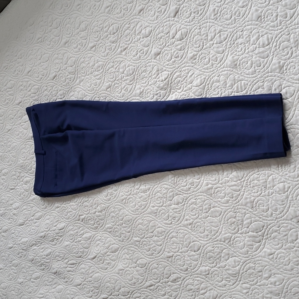 Dark Blue Express Editor Pants Size 2 Like New